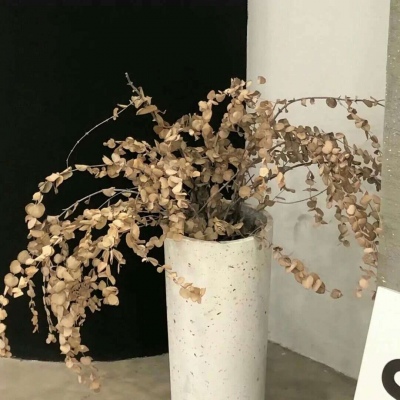 Furry绘画构图指南Furry群